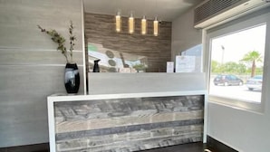 A reception area with a modern design, featuring a reception desk, a vase with a plant, and a view of the outside through a large window. - HI MONTERREY AEROPUERTO (Apodaca)