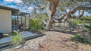 Une maison moderne avec une entrée dotée d’une porte en verre, un grand arbre et un patio agrémenté de plantes.