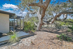 Une maison moderne avec une entrée dotée d’une porte en verre, un grand arbre et un patio agrémenté de plantes.