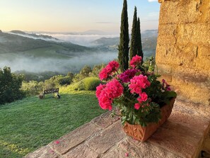 Property grounds - A slice of heaven (Perugia)