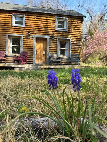Peaceful mountain cabin in charming Berryville VA - next to river and brewery
