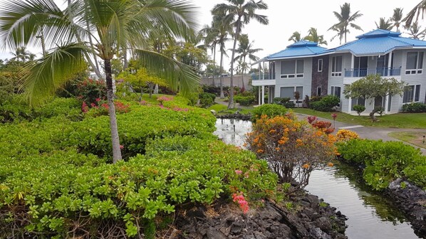 Photo non classée, 1 sur 9, bouton