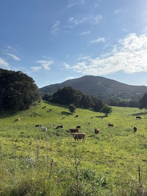 Botón de imagen sin clasificar, 5 de 11