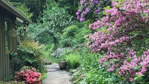 A garden pathway with various plants and flowers, leading to a building with a visible entrance.
