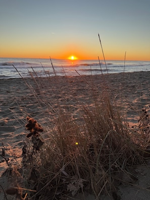 A beach with waves, a sunset, and tall grasses. - Charming bungalow 5 minutes from the sea (Castellare di casinca)