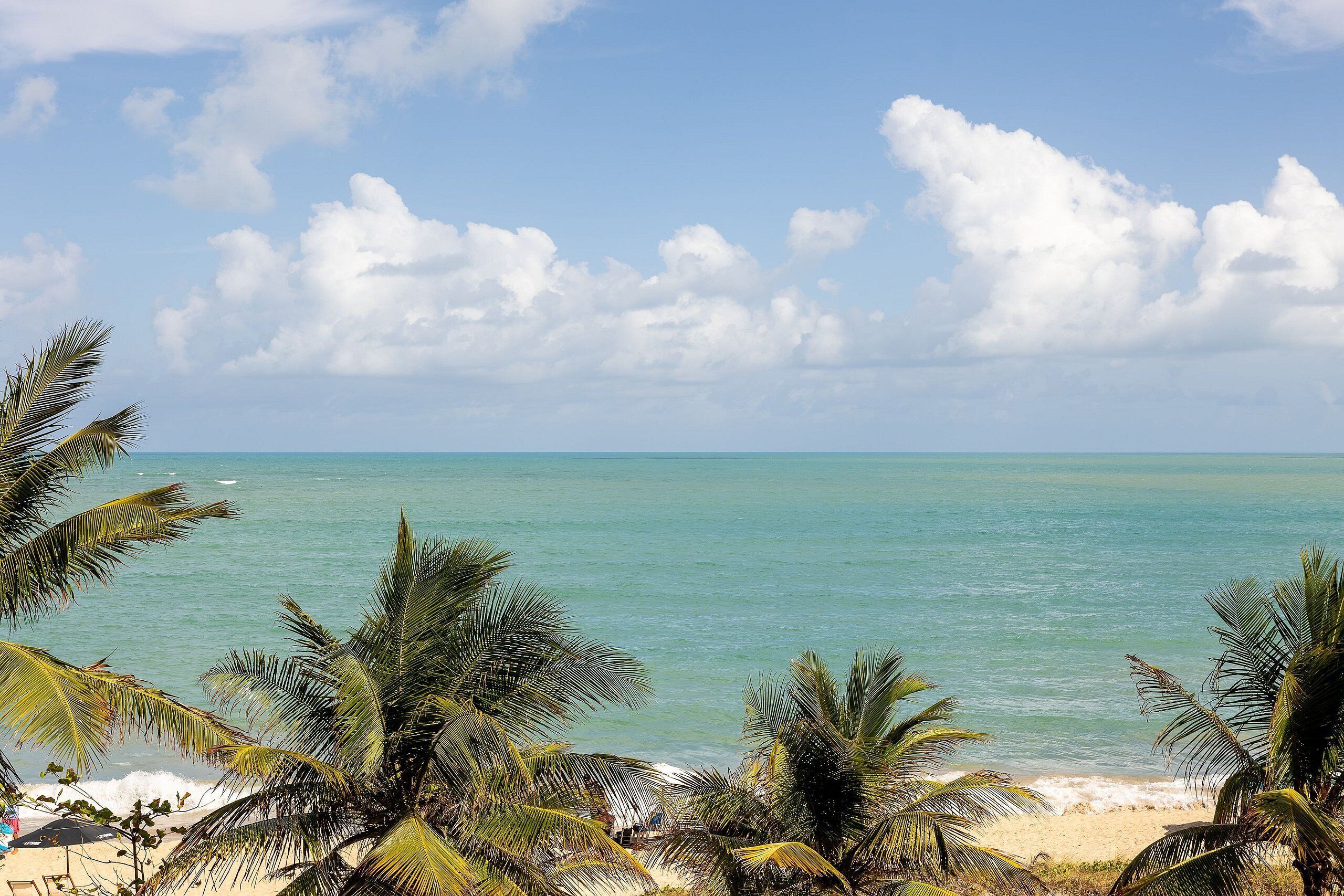 Een strand met palmbomen en een heldere lucht.