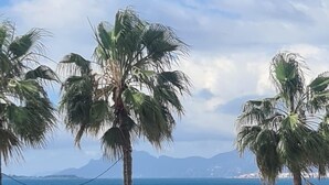Vistes a la platja amb palmeres i un vaixell a la distància.