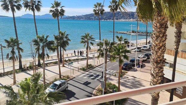 Un carrer costaner amb palmeres, una platja i vista al mar.