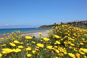 A beach with yellow flowers in the foreground and a clear blue sky. - Verdemare House (Cefalu')