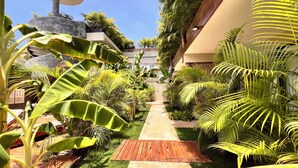 A pathway flanked by lush tropical plants, a satellite dish, and a building with a curved roof. - Private and Peaceful Apartment 1BD 1BR (Tulum)