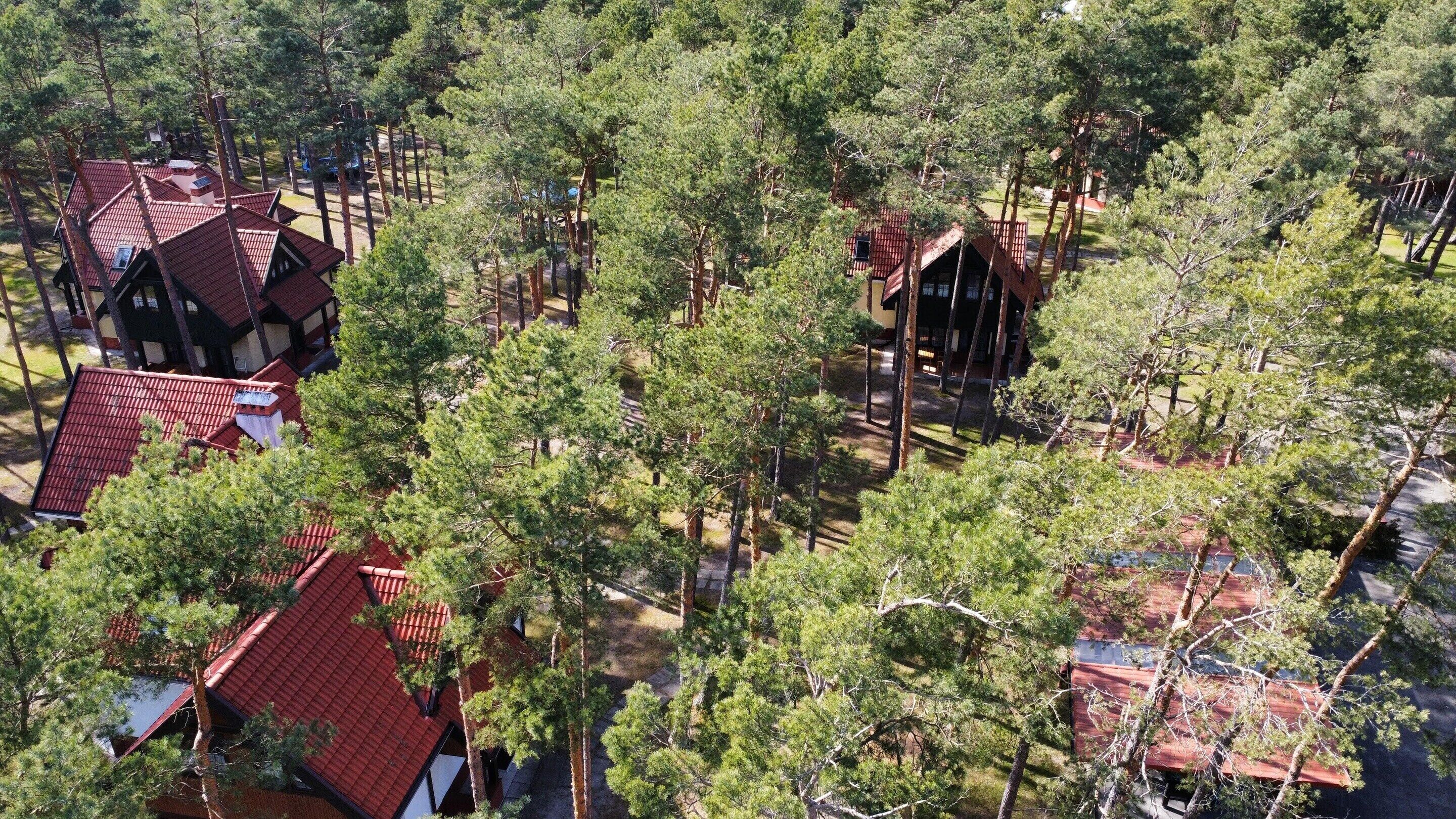 A cluster of cabins with red roofs surrounded by dense forest.