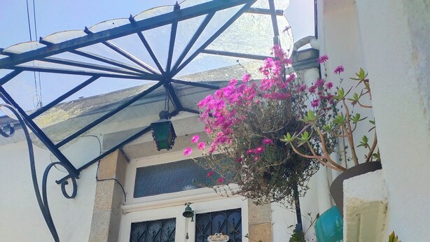 Un bâtiment à la façade blanche, doté d’un portail en métal noir et orné d’une jardinière suspendue.