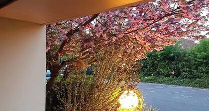 Soundproof Studio | Perfect for Short & Long Stays