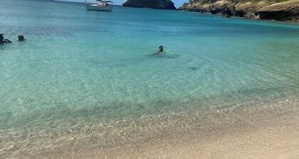 Perfect 1-bedroom bed & breakfast with AC in Saint John's