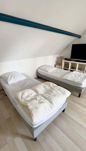 Une chambre avec deux lits simples, une télévision et une étagère remplie de livres.