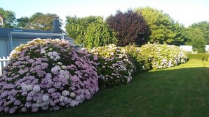 Ein Garten mit verschiedenen blühenden Pflanzen und einem weißen Zaun.