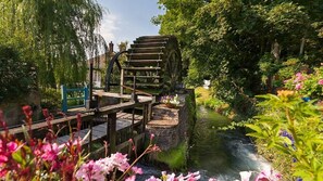 Imagen sin descripción, 2 de 17, botón