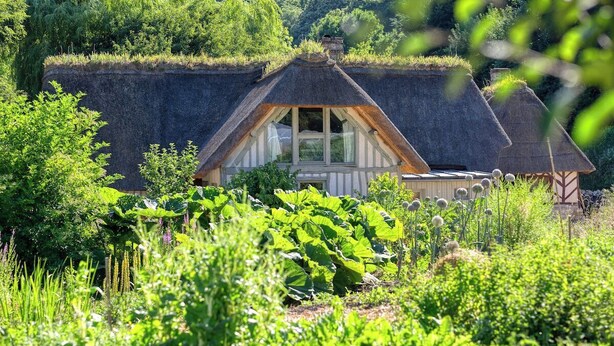 Ein traditionelles Reetdachhaus, umgeben von üppigem Grün.