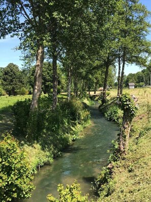 Botón de imagen sin clasificar, 3 de 28