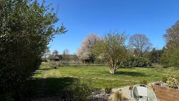 Un giardino con un vialetto sterrato, mobili da esterno e alberi.
