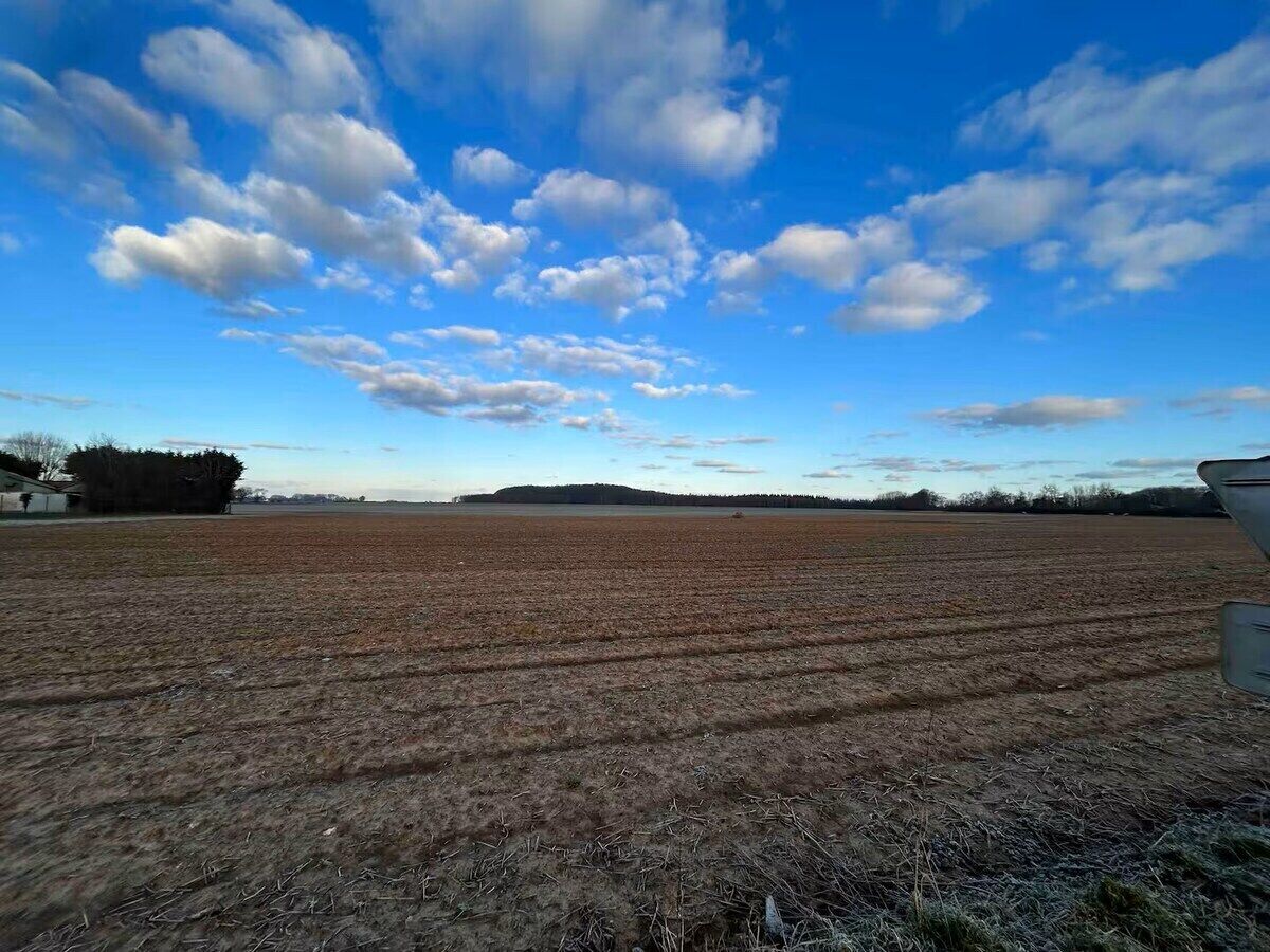 Um vasto campo aberto com céu limpo e árvores ao longe.