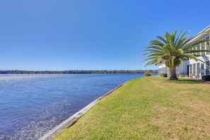A waterfront property with a grassy lawn, a palm tree, and a building with large windows overlooking the water.