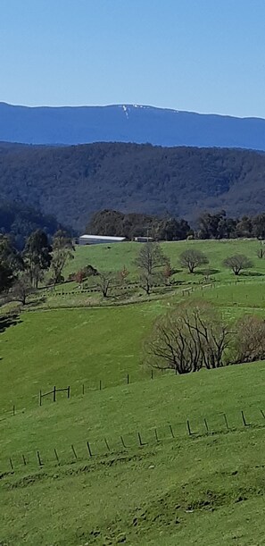 Nicht klassifiziertes Bild, 4 von 6, Schaltfläche