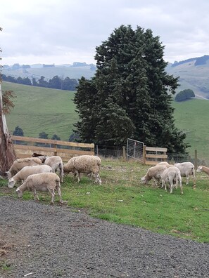 Nicht klassifiziertes Bild, 3 von 6, Schaltfläche