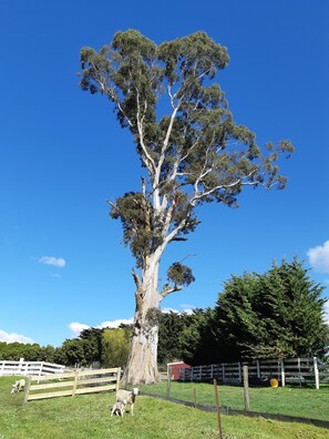 Nicht klassifiziertes Bild, 2 von 6, Schaltfläche