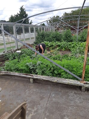 Nicht klassifiziertes Bild, 5 von 6, Schaltfläche