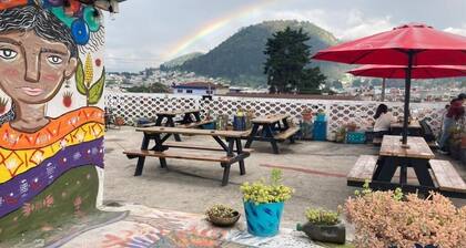 Kasa Kiwi Hostel and Travel