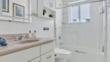 Hair dryer, soap, shampoo