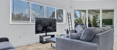 TV