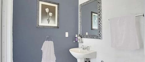 Hair dryer, soap, shampoo