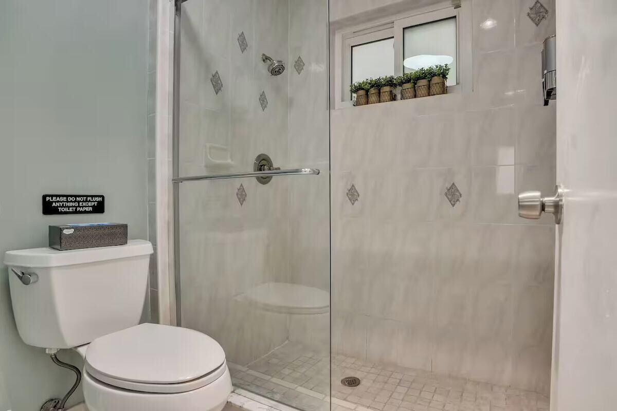 Hair dryer, soap, shampoo