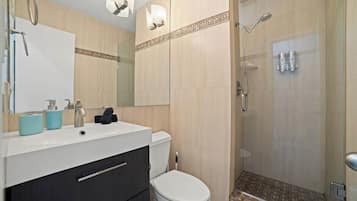 Hair dryer, soap, shampoo