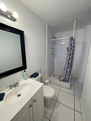 Hair dryer, soap, shampoo - Wynwood | the bonds of art house | 7br | sleeps 18 (Miami)