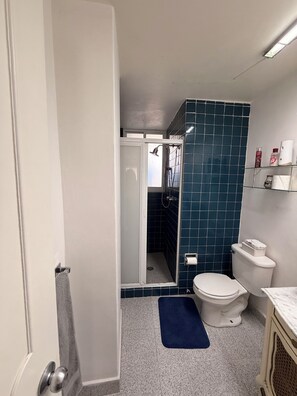 Hair dryer, towels, soap, toilet paper - Polanco World Cup Stay | 3BR w/ Balcony (Ciudad de México)