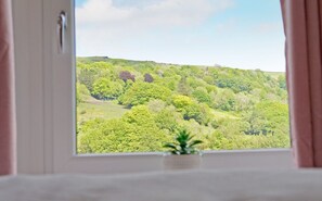 A window with a view of a green landscape, curtains, and a small plant on the windowsill. - Cottage with breathtaking views of the Rhondda Valley. (Trehafod)