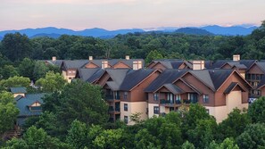 未分類的圖片，第 5 張，共 37 張，按鈕