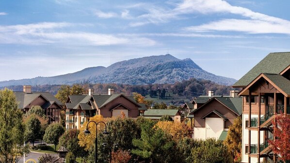 Niet-geclassificeerde afbeelding, 1 van 37, knop