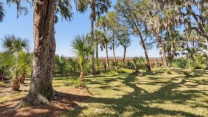 Un paysage naturel composé de différentes espèces d’arbres et de zones herbeuses.