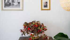 A wall with two framed photographs, a wooden cabinet with a potted plant, and a hanging light fixture. - Room-charming Panoramic Suite in the Cen (Positano)