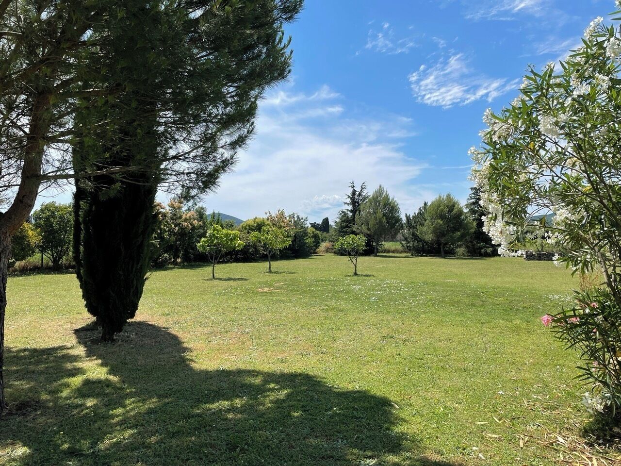 Een gazon met bomen en struiken, waarschijnlijk onderdeel van een park of tuin.