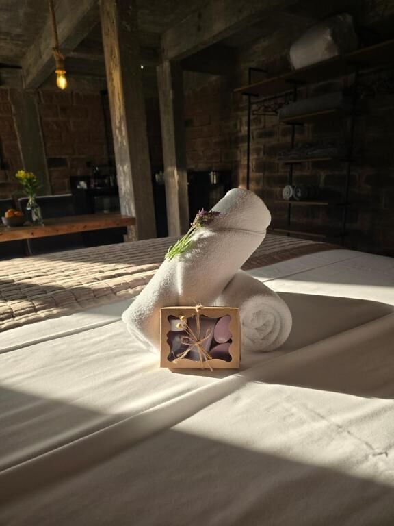 Suite, balcone, vista giardino