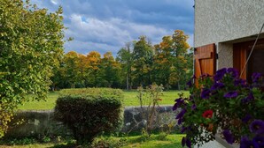 Blick auf einen Garten mit einer Steinmauer, einer Hecke und einem Gebäude mit Holztür und Fenster.