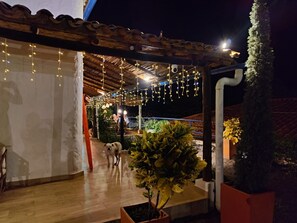 An outdoor patio with string lights, a dog, and potted plants.