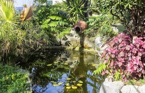 Property grounds - Terme Tritone (Forio)