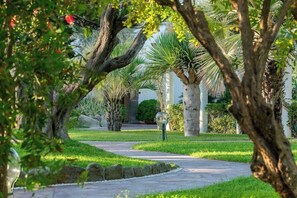 Property grounds - Hotel Tritone Resort AND SPA (Forio)