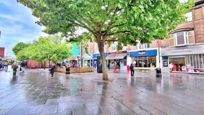 A pedestrian area with shops, a tree, and wet pavement.